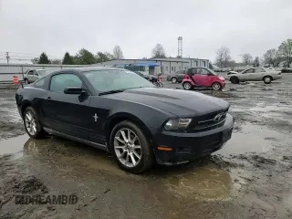 2010 Ford Mustang V6 with VIN 1ZVBP8AN3A5112855, listed as a Copart auction lot 49824275 with 161,778 mi miles and Salvage Title. Bid and sale history available at DreamBid. Image 11.