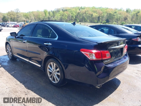 2010 Lexus ES 330 with VIN JTHBK1EG3A2395309, listed as a IAAI auction lot 41969741 with 146,918 mi miles and . Bid and sale history available at DreamBid. Image 3.