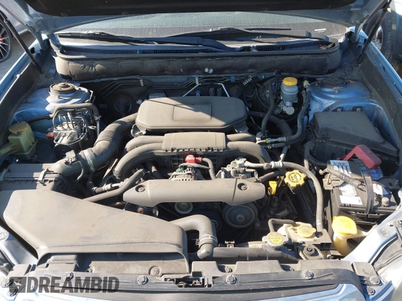 2010 Subaru Outback Premium All-Weather Anniversary with VIN 4S4BRBGC5A3359012, listed as a IAAI auction lot 42653699 with 166,294 mi miles and . Bid and sale history available at DreamBid. Image 10.