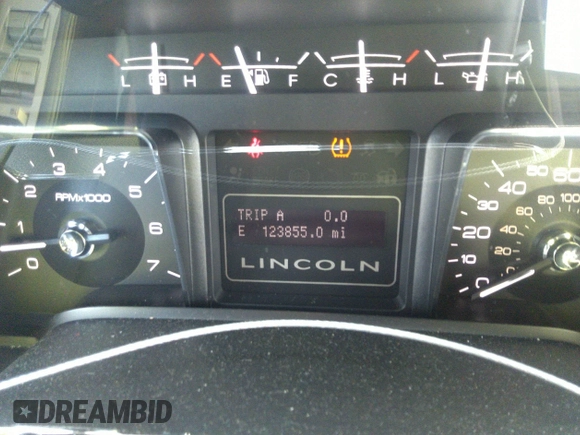 2009 Lincoln Navigator with VIN 5LMFU28519EJ00014, listed as a IAAI auction lot 34175725 with 123,855 mi miles and . Bid and sale history available at DreamBid. Image 7.