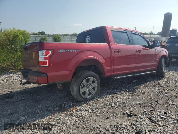 2019 Ford F-150 XL with VIN 1FTEW1C44KFD08541, listed as a Copart auction lot 66410744 with Not Provided miles and Salvage Title. Bid and sale history available at DreamBid. Image 3.
