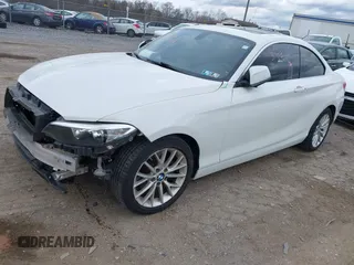 2016 BMW 2 Series 228i xDrive with VIN WBA1G9C56GV599797, listed as a IAAI auction lot 41923703 with 158,404 mi miles and . Bid and sale history available at DreamBid. Image 18.
