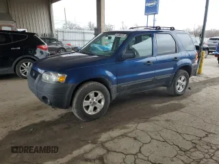 2007 Ford Escape XLT with VIN 1FMYU03177KB52007, listed as a Copart auction lot 51385335 with 123,728 mi miles and Clean Title. Bid and sale history available at carsss.com. Image 1.