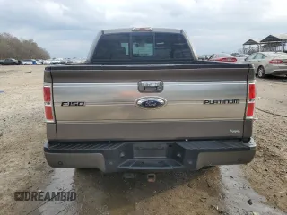 2010 Ford F-150 XL with VIN 1FTFW1EV8AFA22412, listed as a Copart auction lot 42259025 with 249,847 mi miles and Salvage title. Bid and sale history available at DreamBid. Image 6.