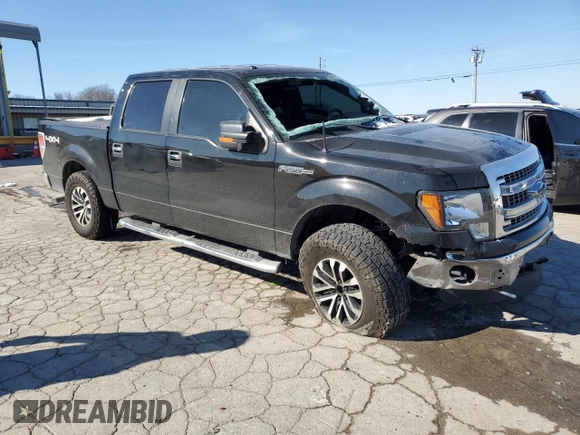 2013 Ford F-150 XL with VIN 1FTFW1EF9DKG29309, listed as a Copart auction lot 46171155 with 136,283 mi miles and Salvage title. Bid and sale history available at DreamBid. Image 4.