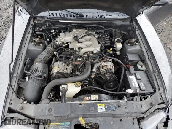 2003 Ford Mustang Standard with VIN 1FAFP40423F334991, listed as a Copart auction lot 52343185 with 78,129 mi miles and Clean Title. Bid and sale history available at carsss.com. Image 11.