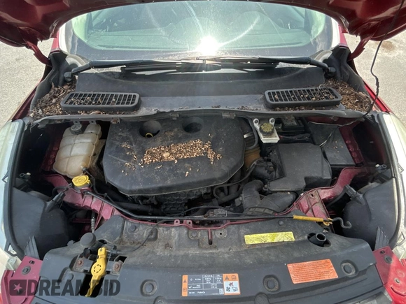 2013 Ford Escape SE with VIN 1FMCU9G95DUD25554, listed as a Copart auction lot 58242885 with Not provided miles and Clean title. Bid and sale history available at DreamBid. Image 7.