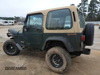 1995 Jeep Wrangler S with VIN 1J4FY19P5SP309461, listed as a Copart auction lot 44160095 with 264,727 mi miles and Salvage Title. Bid and sale history available at carsss.com. Image 2.