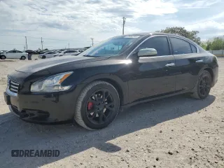 2013 Nissan Maxima SV with VIN 1N4AA5AP4DC817699, listed as a Copart auction lot 53532795 with 179,385 mi miles and Salvage title. Bid and sale history available at DreamBid. Image 1.
