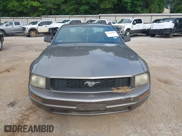 2005 Ford Mustang Deluxe with VIN 1ZVFT80N255121745, listed as a IAAI auction lot 42540069 with Not provided miles and . Bid and sale history available at DreamBid. Image 6.