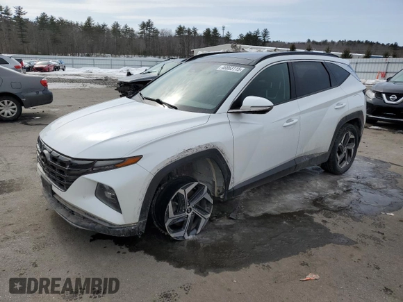 2022 Hyundai Tucson Limited with VIN 5NMJECAE8NH079815, listed as a Copart auction lot 46863115 with 77,756 mi miles and Salvage Title. Bid and sale history available at carsss.com. Image 1.