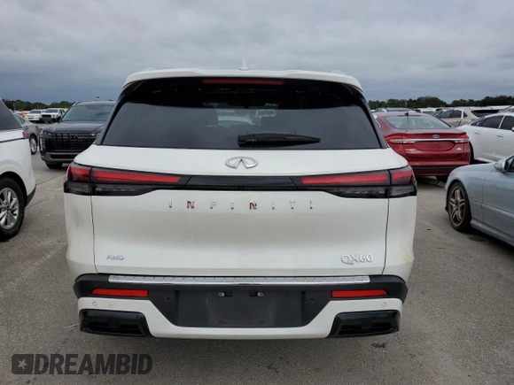 2024 Infiniti QX60 Luxe with VIN 5N1DL1FSXRC343025, listed as a Copart auction lot 74335204 with Not provided miles and Non repairable. Bid and sale history available at DreamBid. Image 6.