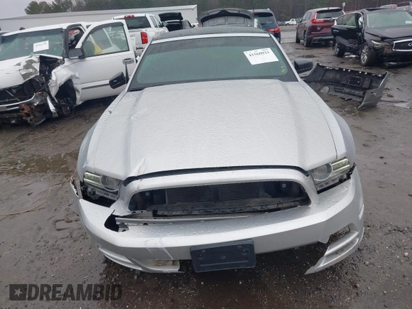 2013 Ford Mustang V6 with VIN 1ZVBP8EM4D5217006, listed as a IAAI auction lot 41560921 with 95,877 mi miles and . Bid and sale history available at DreamBid. Image 13.
