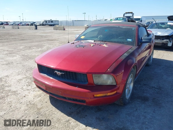 2006 Ford Mustang Standard with VIN 1ZVFT84N165244772, listed as a IAAI auction lot 41656994 with Not Provided miles and . Bid and sale history available at carsss.com. Image 6.