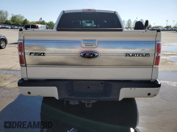 2009 Ford F-150 XL with VIN 1FTPW14V19FB17234, listed as a Copart auction lot 53957085 with 0 mi miles and Salvage Title. Bid and sale history available at carsss.com. Image 6.