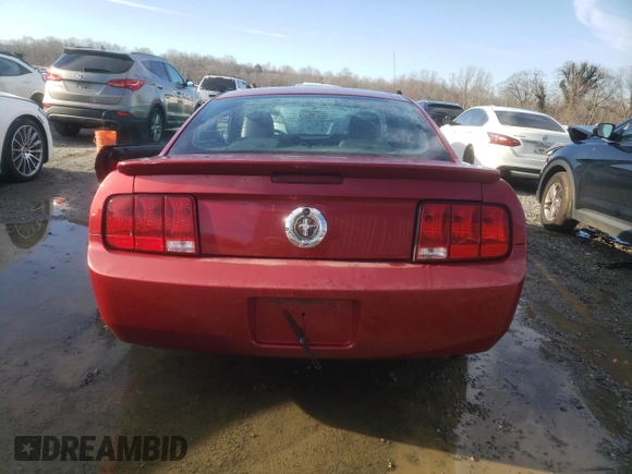 2007 Ford Mustang Deluxe with VIN 1ZVHT80N175353149, listed as a Copart auction lot 45021165 with 124,137 mi miles and Salvage Title. Bid and sale history available at carsss.com. Image 6.