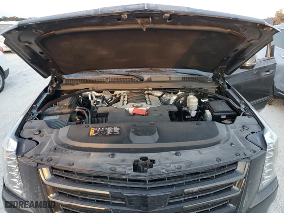 2018 Cadillac Escalade Platinum with VIN 1GYS3DKJ3JR318408, listed as a Copart auction lot 76171764 with 0 mi miles and Non Repairable. Bid and sale history available at carsss.com. Image 12.