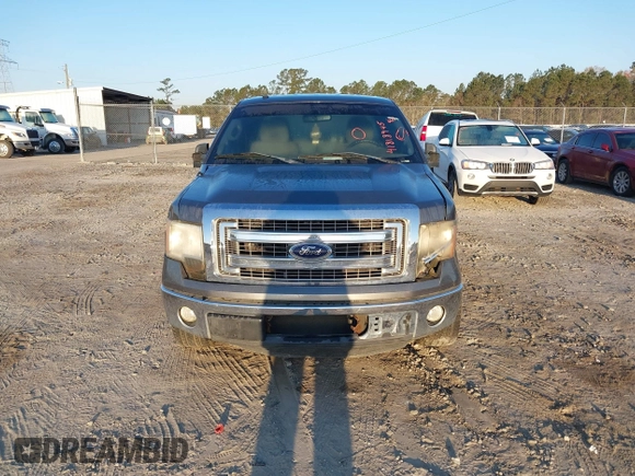 2013 Ford F-150 XL with VIN 1FTFX1CF0DFA71326, listed as a IAAI auction lot 41818945 with 261,183 mi miles and . Bid and sale history available at DreamBid. Image 12.