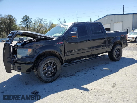 2013 Ford F-150 XL with VIN 1FTFW1ETXDFC09265, listed as a Copart auction lot 48344915 with 163,261 mi miles and Salvage Title. Bid and sale history available at DreamBid. Image 1.