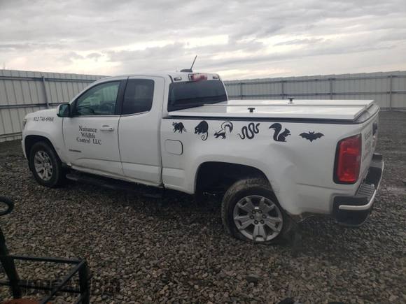 2020 Chevrolet Colorado 2WD LT with VIN 1GCHSCEA3L1156063, listed as a Copart auction lot 51670345 with 128,684 mi miles and Salvage title. Bid and sale history available at DreamBid. Image 2.