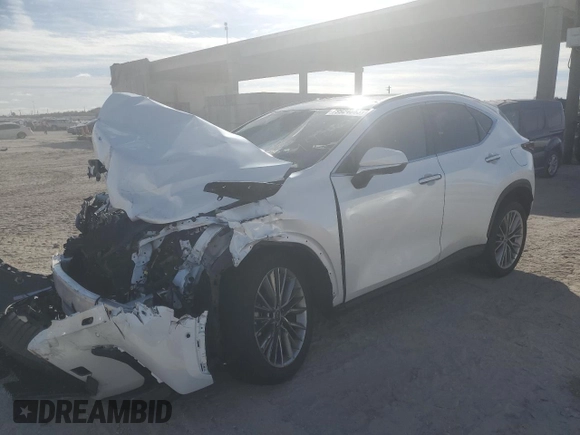 2022 Lexus NX with VIN JTJHKCEZ6N5004406, listed as a Copart auction lot 79924863 with 36,335 mi miles. Bid and sale history available at carsss.com. Image 1.