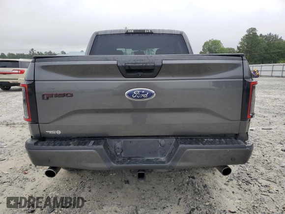 2017 Ford F-150 XL with VIN 1FTEW1CP6HFC55621, listed as a Copart auction lot 61406755 with 168,022 mi miles and Salvage title. Bid and sale history available at DreamBid. Image 6.