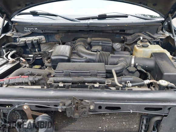 2010 Ford F-150 XL with VIN 1FTFX1EV6AFB54842, listed as a IAAI auction lot 42441003 with 183,415 mi miles and . Bid and sale history available at DreamBid. Image 10.