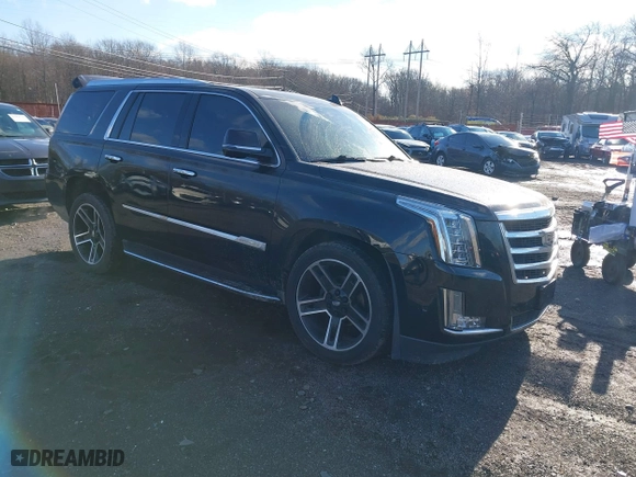 2019 Cadillac Escalade Luxury with VIN 1GYS4BKJ5KR354572, listed as a IAAI auction lot 41071039 with 98,256 mi miles. Bid and sale history available at carsss.com. Image 1.