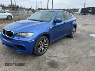 2013 BMW X6 M with VIN 5YMGZ0C57DLL29849, listed as a Copart auction lot 53517205 with 117,400 mi miles and Clean Title. Bid and sale history available at carsss.com. Image 2.