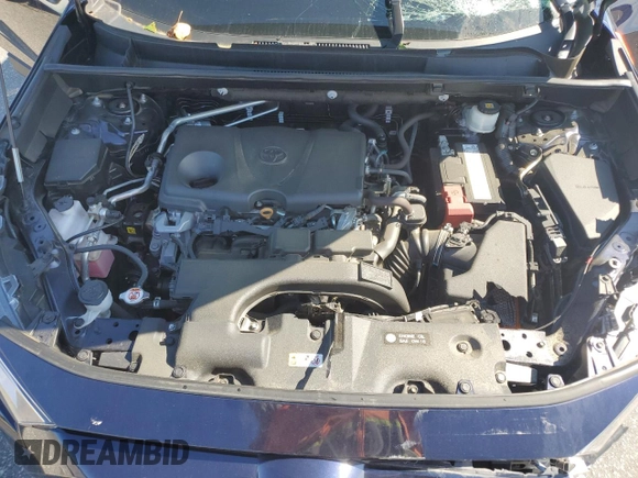 2019 Toyota RAV4 XLE with VIN 2T3W1RFV7KW029959, listed as a Copart auction lot 61825405 with 36,180 mi miles and Salvage title. Bid and sale history available at DreamBid. Image 12.