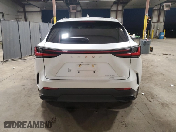 2024 Lexus NX with VIN 2T2AGCEZXRC034292, listed as a Copart auction lot 81203804 with 15,567 mi miles and Salvage Title. Bid and sale history available at carsss.com. Image 6.