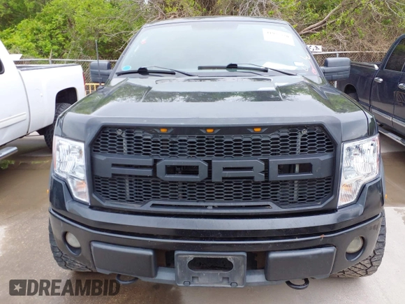 2010 Ford F-150 XL with VIN 1FTEX1EW1AFB90443, listed as a IAAI auction lot 41955720 with 184,104 mi miles. Bid and sale history available at carsss.com. Image 6.