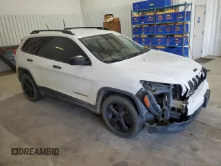 2017 Jeep Cherokee Sport with VIN 1C4PJLAB0HW669407, listed as a Copart auction lot 49335905 with 168,743 mi miles and Salvage Title. Bid and sale history available at carsss.com. Image 4.