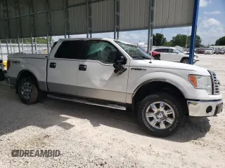 2011 Ford F-150 XL z VIN 1FTFW1EF1BFA61661, wystawiony jako Copart lot #61827185 z przebiegiem 172 205 mil mil oraz Szkoda całkowita • Salvage title. Historia ofert i sprzedaży dostępna na DreamBid. Obrazek 4.