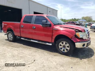 2010 Ford F-150 XL with VIN 1FTFW1EV6AFB25487, listed as a Copart auction lot 55269255 with 206,382 mi miles and Salvage Title. Bid and sale history available at DreamBid. Image 4.