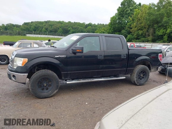 2011 Ford F-150 XLT with VIN 1FTFW1CTXBFC93636, listed as a IAAI auction lot 42372463 with 196,498 mi miles and . Bid and sale history available at DreamBid. Image 14.