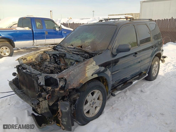 2005 Ford Escape XLT with VIN 1FMYU93165KC92924, listed as a Copart auction lot 46076435 with 0 mi miles and Salvage Title. Bid and sale history available at carsss.com. Image 1.