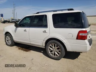 2015 Ford Expedition Limited with VIN 1FMJU1KT8FEF03272, listed as a Copart auction lot 47876325 with 151,475 mi miles and Salvage title. Bid and sale history available at DreamBid. Image 2.