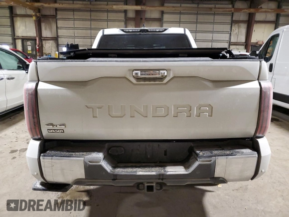 2022 Toyota Tundra 1794 Edition with VIN 5TFMA5DB0NX009609, listed as a Copart auction lot 86996704 with 79,697 mi miles and Salvage title. Bid and sale history available at DreamBid. Image 6.