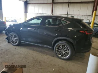 2023 Lexus NX with VIN 2T2HGCEZ8PC031614, listed as a Copart auction lot 60462273 with 1,125 mi miles. Bid and sale history available at carsss.com. Image 2.