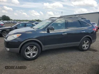 2008 Hyundai Veracruz GLS with VIN KM8NU13C38U038456, listed as a Copart auction lot 61863755 with 176,300 mi miles and Salvage title. Bid and sale history available at DreamBid. Image 1.