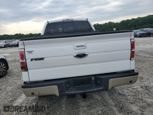 2009 Ford F-150 XL with VIN 1FTPW14V19FB11482, listed as a Copart auction lot 62647635 with 317,024 mi miles and Salvage title. Bid and sale history available at DreamBid. Image 6.