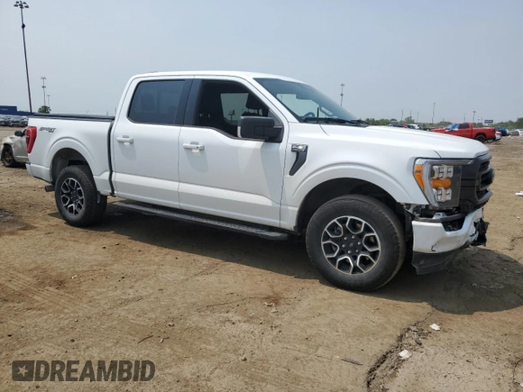 2023 Ford F-150 XL with VIN 1FTEW1EP7PFB66555, listed as a Copart auction lot 59384665 with 28,495 mi miles and Salvage title. Bid and sale history available at DreamBid. Image 4.