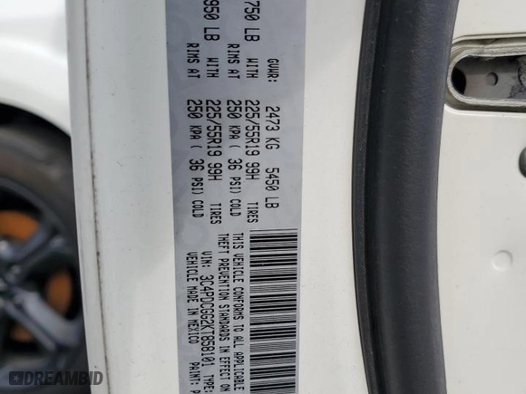 2019 Dodge Journey Crossroad with VIN 3C4PDCGG2KT858101, listed as a Copart auction lot 47000195 with 107,381 mi miles and Salvage Title. Bid and sale history available at carsss.com. Image 13.