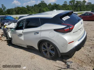 2019 Nissan Murano S with VIN 5N1AZ2MJ1KN151326, listed as a Copart auction lot 62102953 with 0 mi miles and Salvage Title. Bid and sale history available at carsss.com. Image 2.
