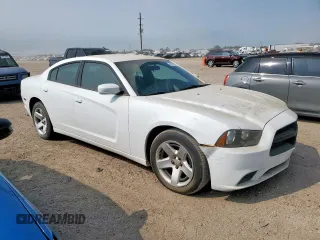 2014 Dodge Charger Police with VIN 2C3CDXAT8EH198935, listed as a Copart auction lot 58036585 with 173,702 mi miles and Clean title. Bid and sale history available at DreamBid. Image 4.