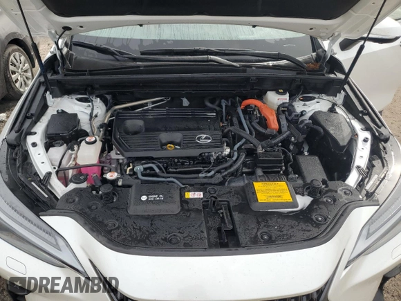 2022 Lexus NX with VIN JTJHKCEZ1N5002627, listed as a Copart auction lot 74983514 with 19,228 mi miles and Non Repairable. Bid and sale history available at carsss.com. Image 12.