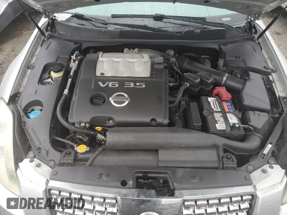 2004 Nissan Maxima SE with VIN 1N4BA41E14C889912, listed as a Copart auction lot 74379814 with 0 mi miles and Salvage Title. Bid and sale history available at carsss.com. Image 11.