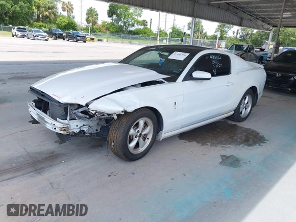 2014 Ford Mustang V6 с VIN 1ZVBP8AMXE5248106, выставлен на аукционе IAAI как лот 42491300 с пробегом 144 587 миль миль и . История ставок и продаж доступна на DreamBid. Изображение 2.