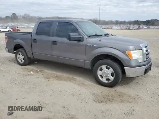 2010 Ford F-150 XL with VIN 1FTEW1C89AFA68212, listed as a Copart auction lot 47641185 with 313,339 mi miles and Clean Title. Bid and sale history available at carsss.com. Image 4.